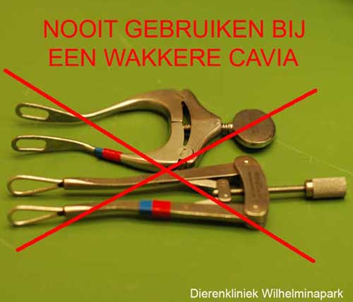 Gberuik nooit een starre beksperder bij een cavia die niet een verdoving heeftgekregen!!!